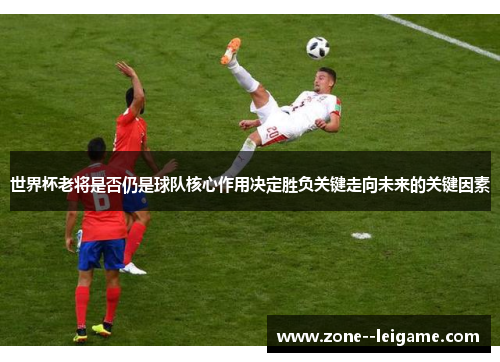 世界杯老将是否仍是球队核心作用决定胜负关键走向未来的关键因素