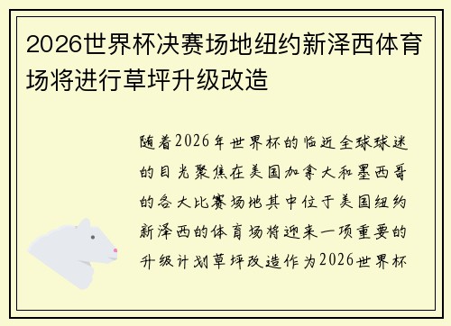 2026世界杯决赛场地纽约新泽西体育场将进行草坪升级改造